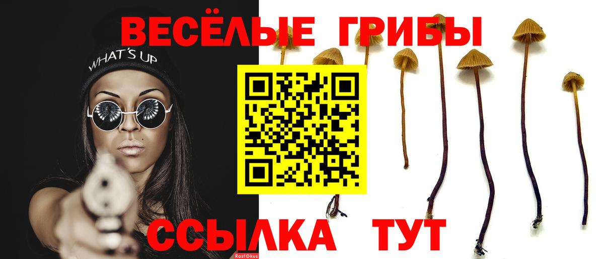 Дивногорск  Галлюциногенные грибы мицелий  Вход с VPN 